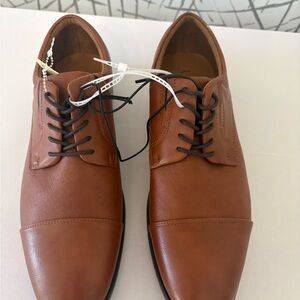 Aldo Tan Men's Oxfords